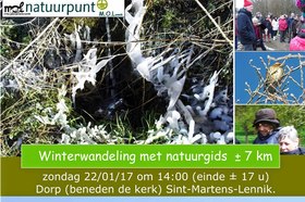 Winterwand_2017_898__1250
