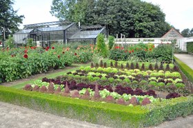 Museumtuin