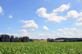 Wandelen