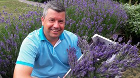 Actie_dvp_-_lavendel