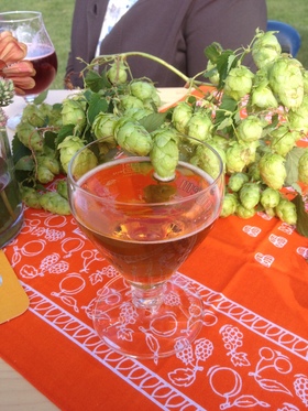 Hopoogstfeesten_molenkouter