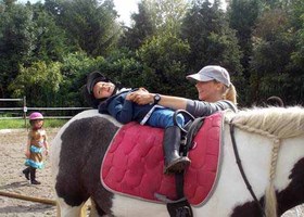 Paard