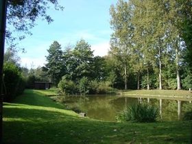 Dokkene