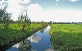 Image001