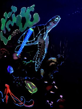 Uv_schildpad