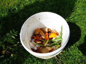Compost_p1000089_30p