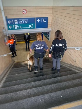 Image00008__kopie_