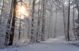 Thumbnail_image001